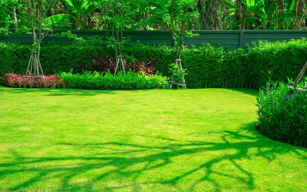 The Best Grass Types to Plant Near Me LawnGuru Blog