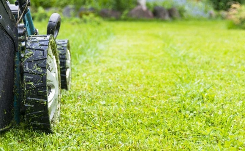 lawn care advertising archives lawnguru push to cut blog lawn care advertising