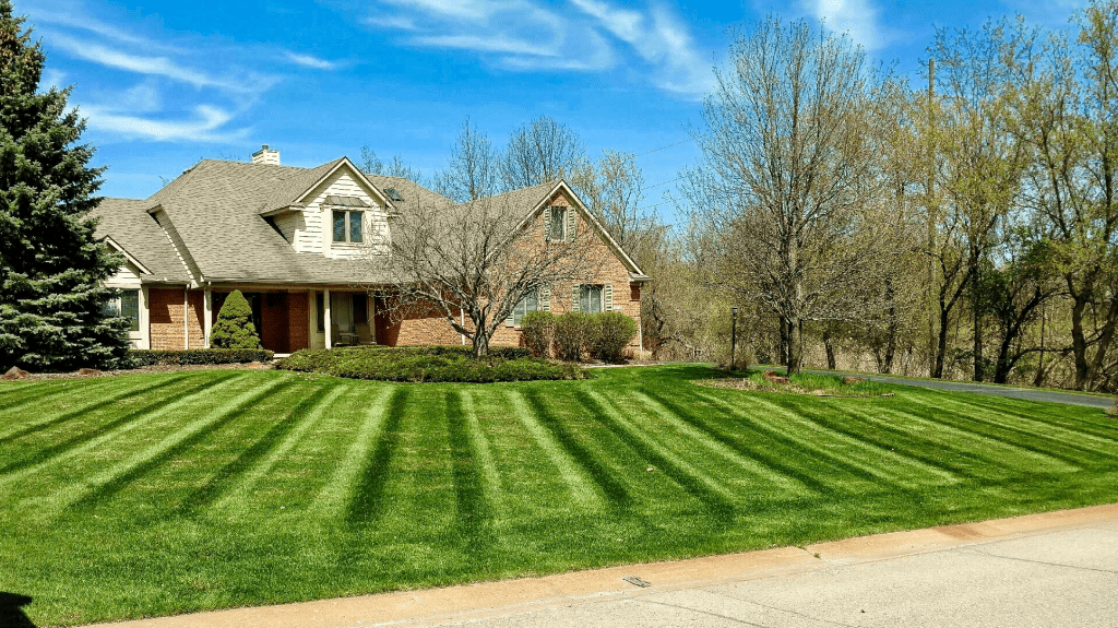 Lawn stripes on front yard.