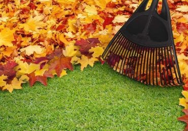 Fall clean-up cover photo