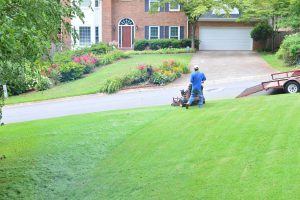 Man mowing the lawn