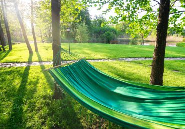 How to take care of your lawn all year