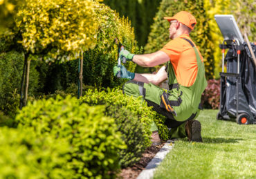 Garden Worker Trimming Plants
