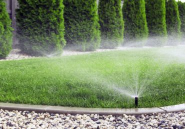 Watering lawn