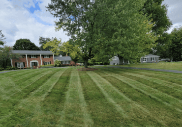 Freshly mowed lawn in Brighton Michigan