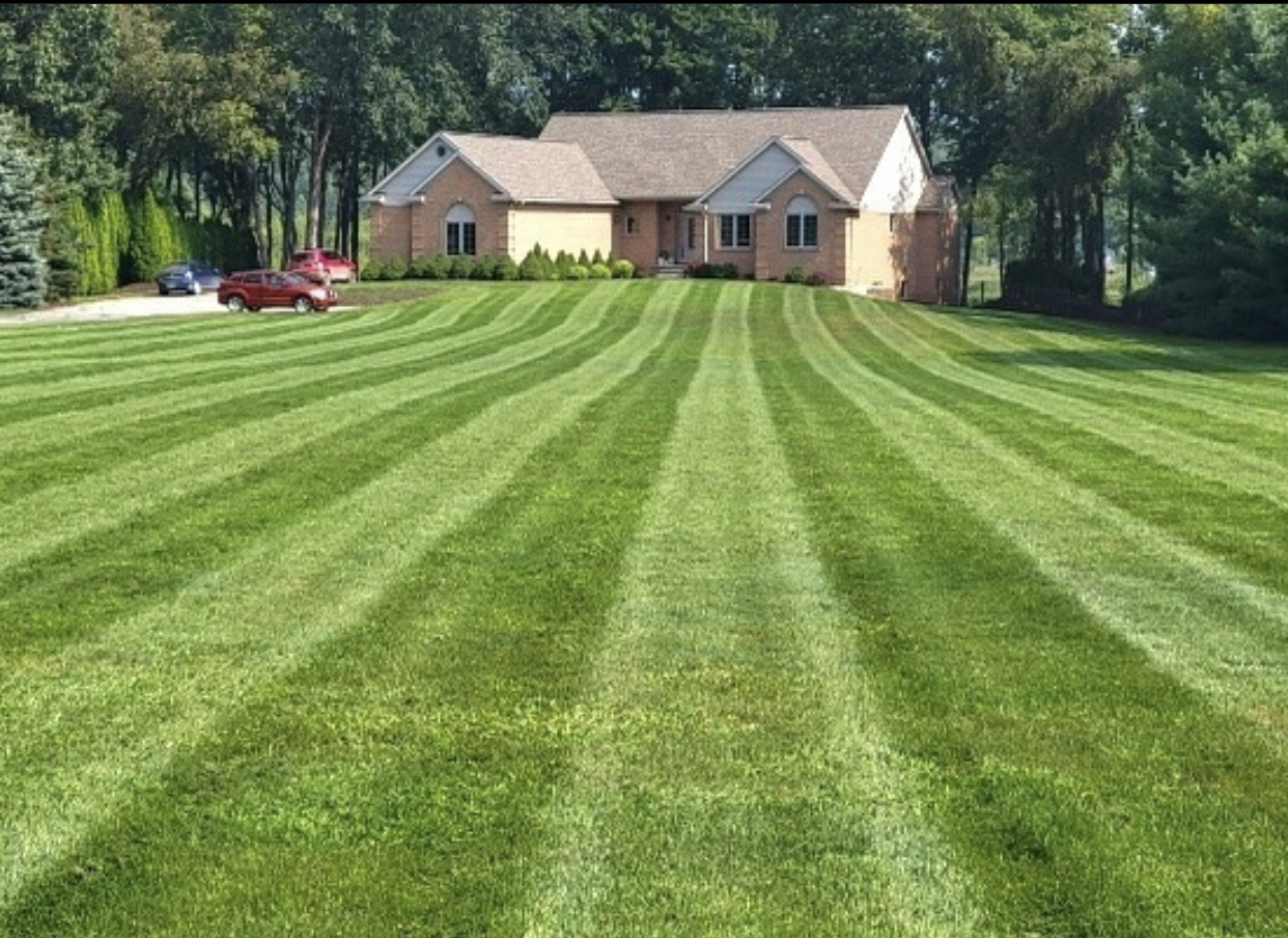 the-5-best-lawn-care-companies-in-ypsilanti-michigan-lawnguru-blog