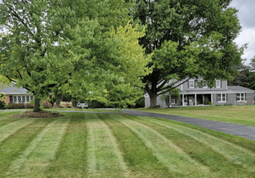 Fresh mowed lawn in Troy Michigan