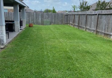 Fresh mowed lawn in Pearland Texas
