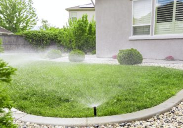 Freshly mowed lawn with sprinkler system in Oak Park Michigan