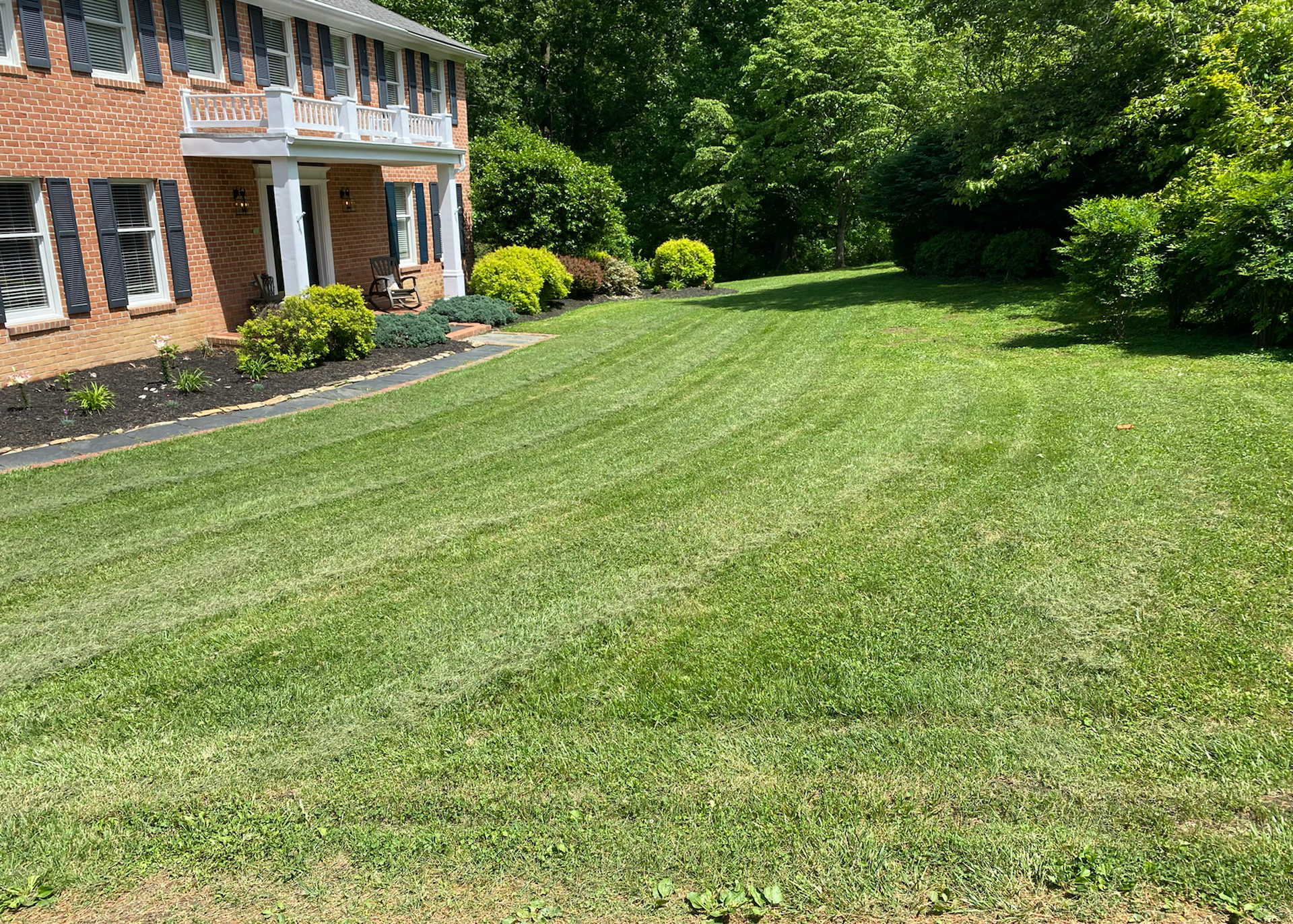 The 5 Best Lawn Mowing Services in Warren Michigan LawnGuru Blog