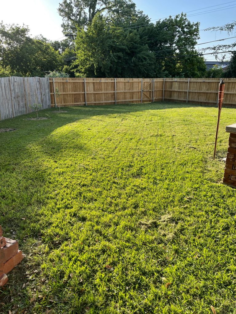 Fresh mowed lawn in Pasadena Texas