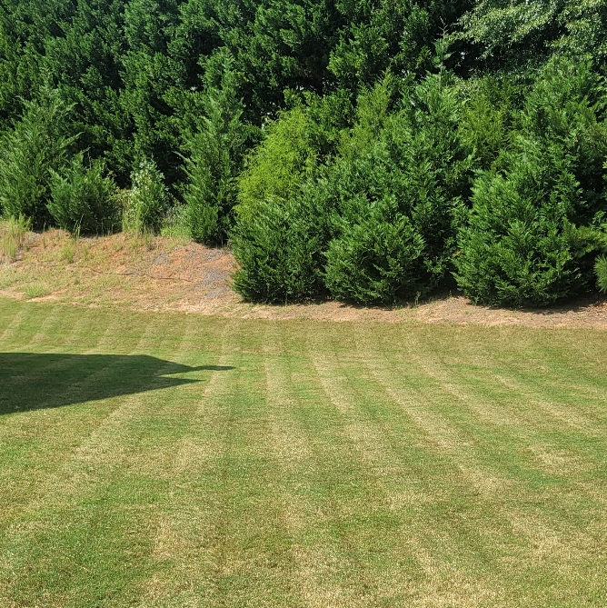 the-5-best-lawn-care-companies-in-newnan-georgia-lawnguru-blog