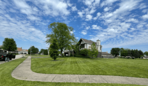 Freshly mowed lawn in Waukegan Illinois