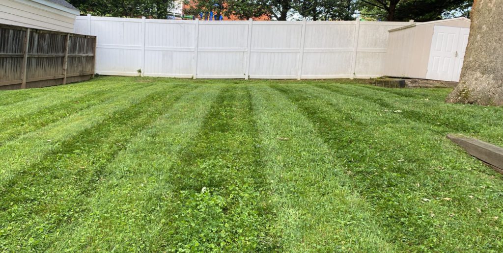 The 5 Best Lawn Mowing Companies In Waldorf Maryland LawnGuru Blog the-5-best-lawn-mowing-companies-in-waldorf-maryland-lawnguru-blog
