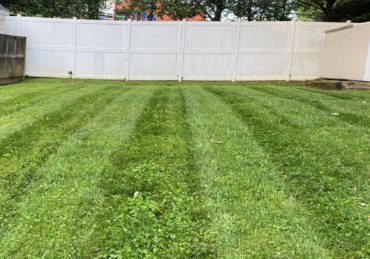 Freshly mowed lawn in Waldorf Maryland