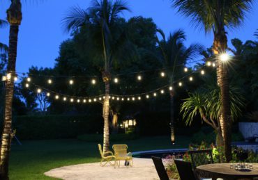 Freshly mowed lawn at night in Clearwater Florida
