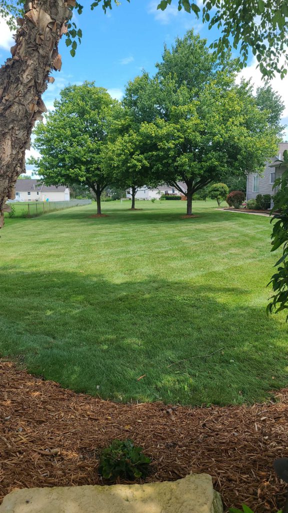 The 5 Best Lawn Mowing Companies In Cicero Illinois LawnGuru Blog the-5-best-lawn-mowing-companies-in-cicero-illinois-lawnguru-blog