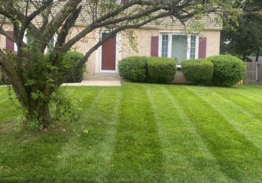 Freshly mowed lawn in Silver Spring Maryland