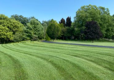 Fresh mowed lawn in Schaumburg Illinois