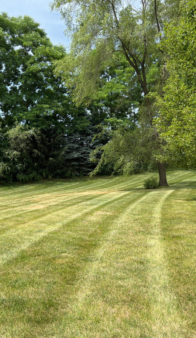 The 5 Best Lawn Mowing Companies in Euclid, Ohio LawnGuru Blog