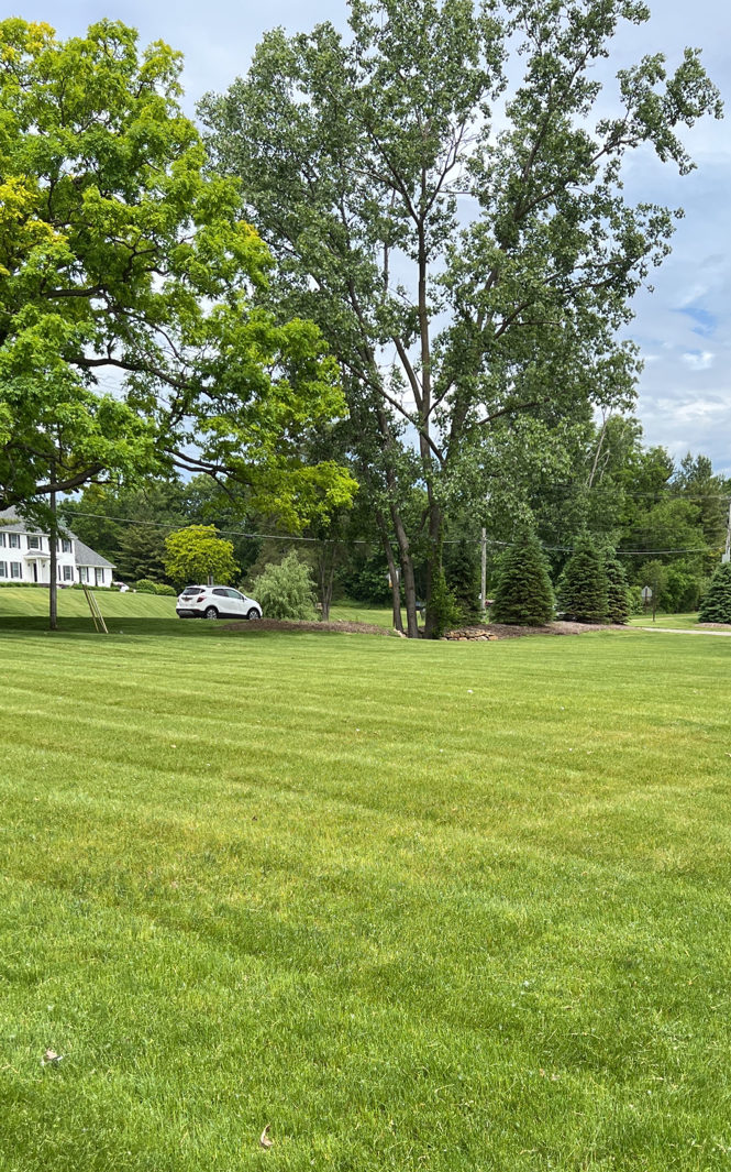 5-best-lawn-mowing-companies-in-cleveland-heights-ohio