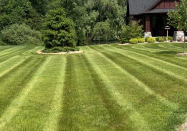 Freshly mowed lawn in Cuyahoga Falls Ohio