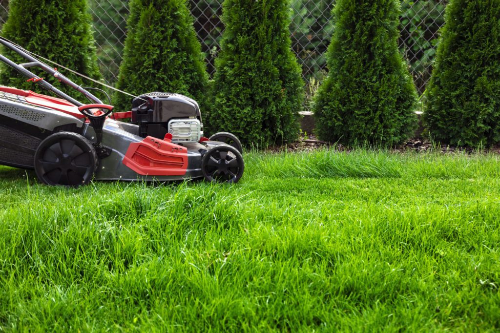 Mowing green lawn