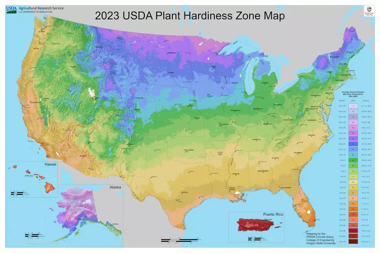 UDSA plant hardiness zone map