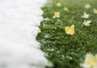 Meeting snow on green grass close up - between winter and spring concept background