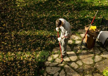 Man raking leaves on sunny autumn day in back yard high angle view