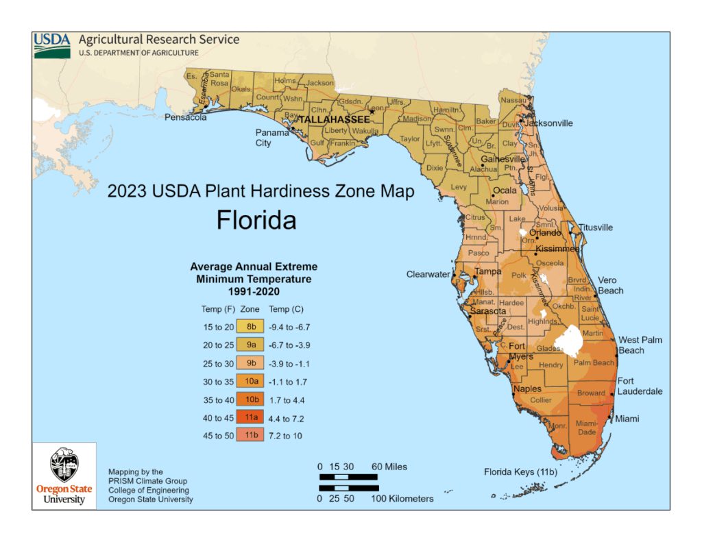 USDA plant hardiness maps for Florida showing 7 zones: 8a – 11a.