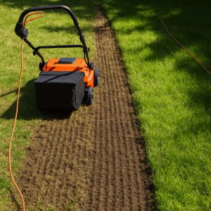 Lawn Dethatching
