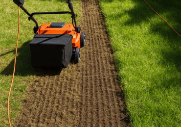 Lawn Dethatching